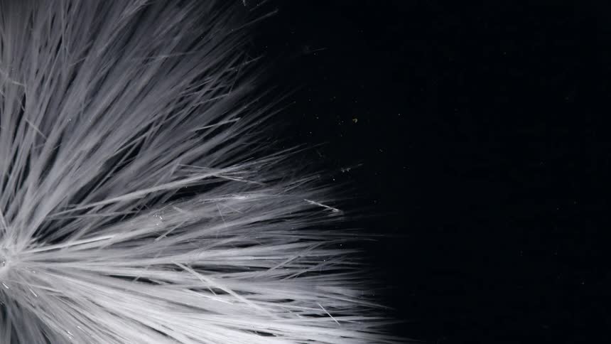 The expanding lines and design of ice freezing on glass