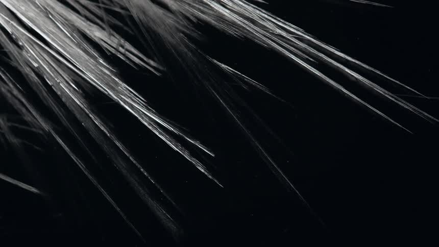The ice spreads and moves