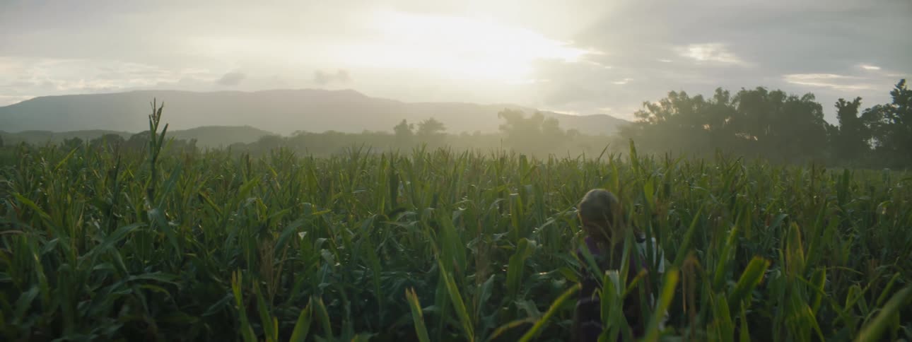 A woman walking in a cornfield with a girl on her back with the sky and clouds in the background