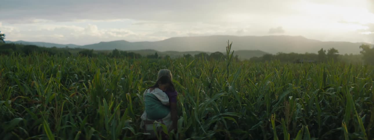 An elderly woman carries a girl on her back as she slowly walks through a field of tall grass