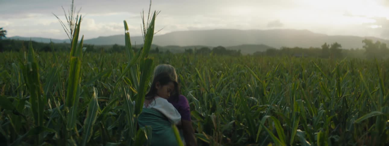 A woman walking through a cornfield with a girl on her back with the sky and clouds in the background