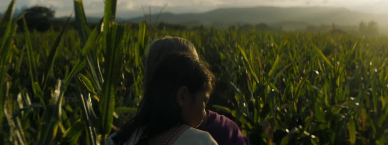 An elderly woman carries her young granddaughter through a crop