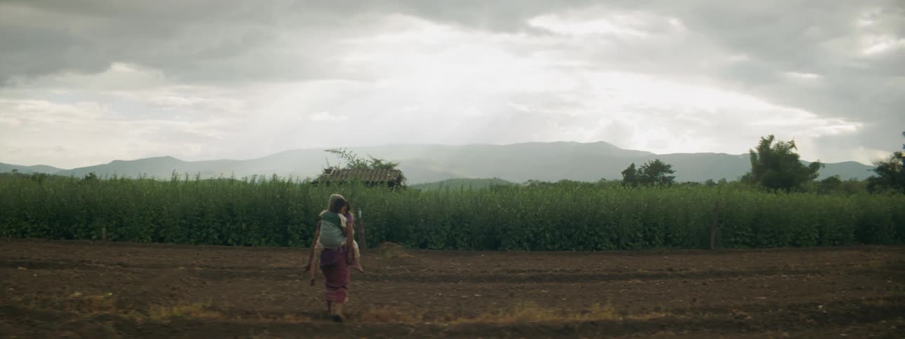 A person is carrying a child towards the farm