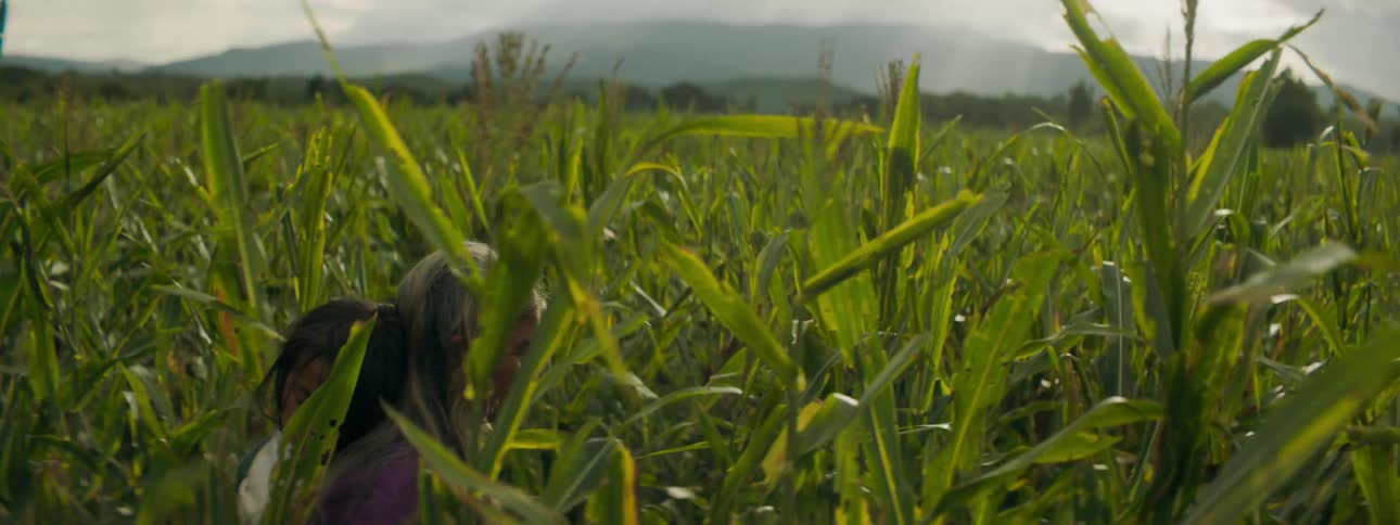 Elderly woman carries child on her back while walking through a field of crops