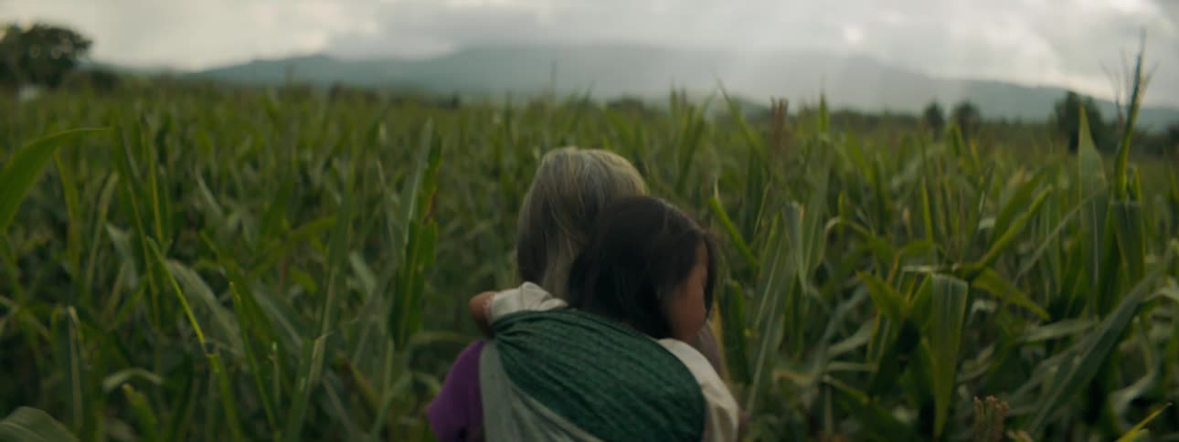A woman walks through a field with a child on her back and cuts stalks off of plants