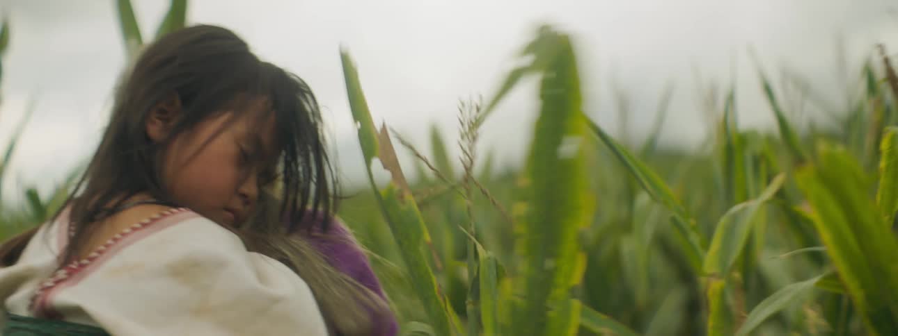 An elderly woman carries a sleeping child on her back as she walks through a field of tall grass during the day