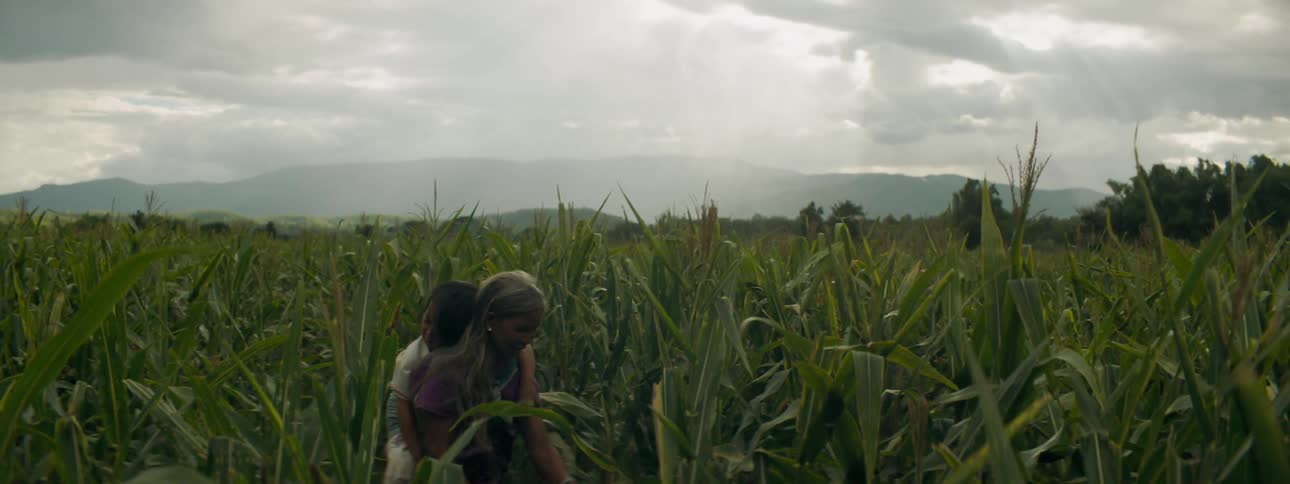Woman harvests crops by hand in field stretching toward fog covered mountains while carrying granddaughter in sling on back