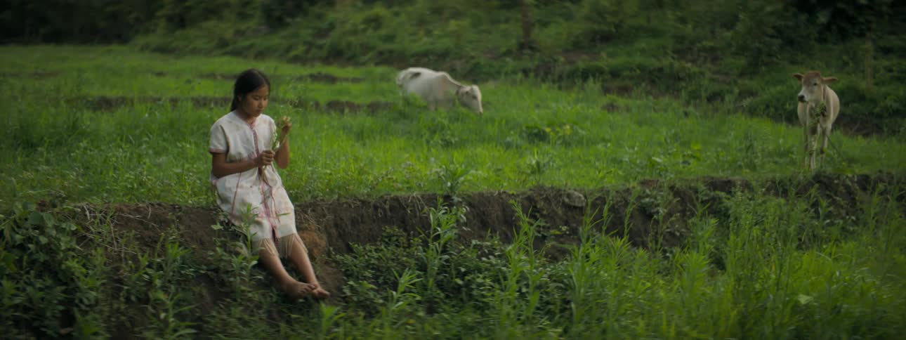 A young girl sits in a pasture with two cows grazing