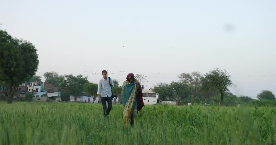 Two people walk in tall green grass