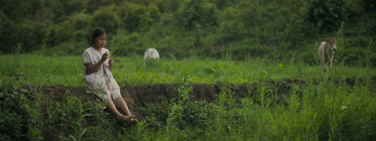 Young girl is sitting in a grass pasture and picking at a green plant