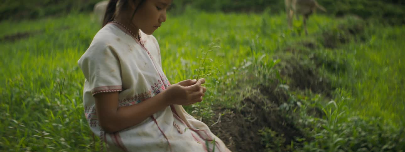 A girl fidgets with a plant as cows graze in the background