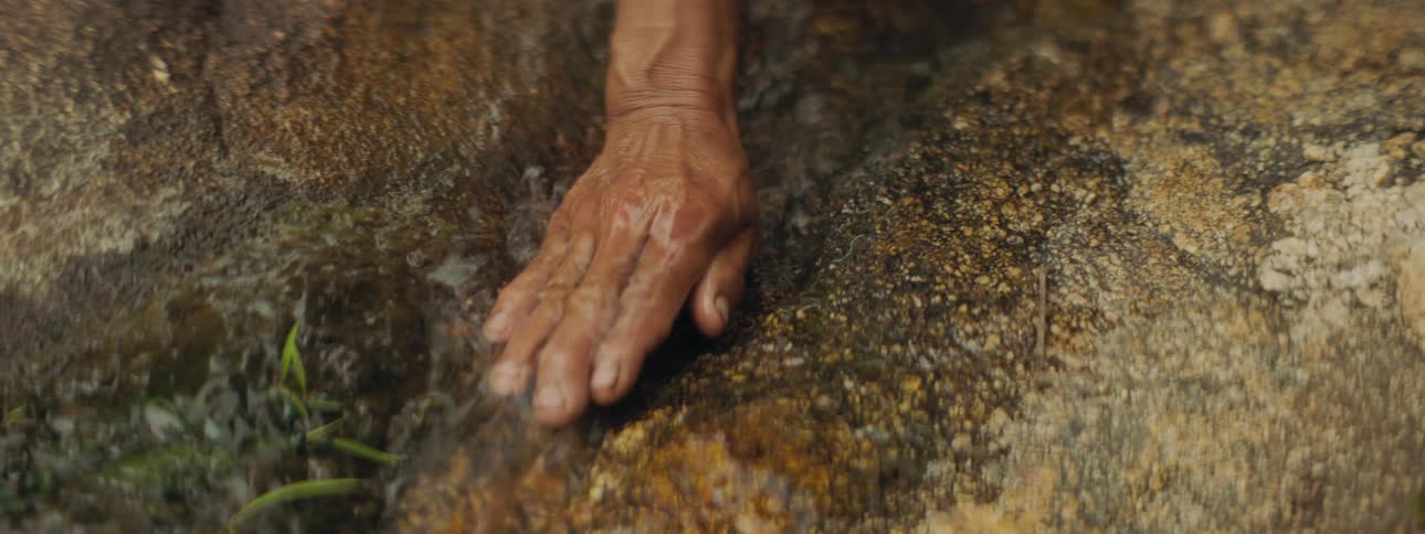 A person holding their hand in stream water flowing over a mossy rock
