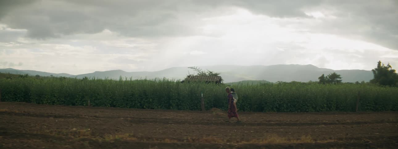 A woman carrying a child on her back walks past a field