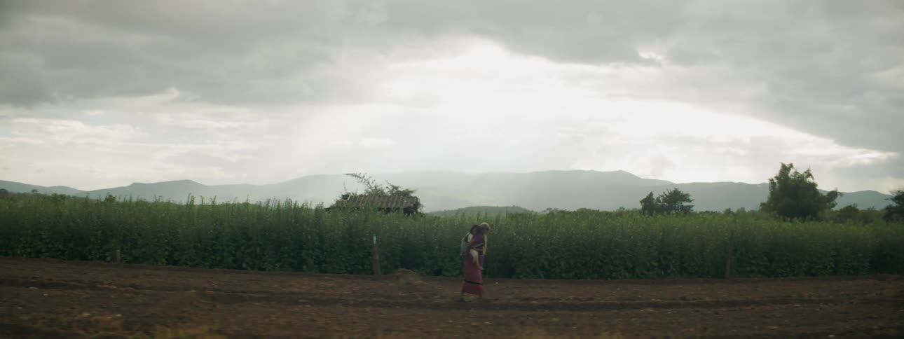 A woman with a child on her back walks past a field