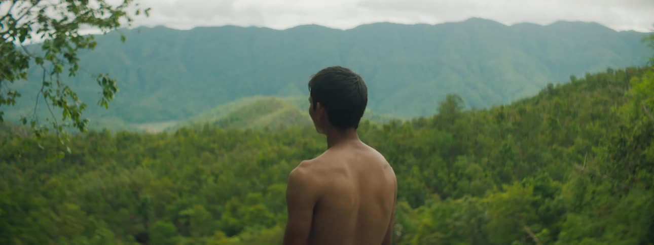 A man looking at the camera behind him turns to face forward and gaze out at the forest and mountains in the countryside before him