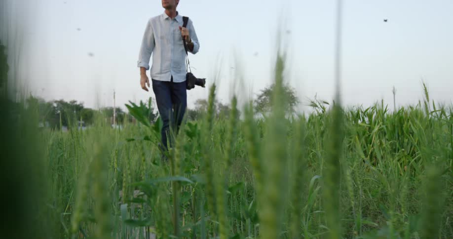 A photographer walks through tall grass on a sunny day