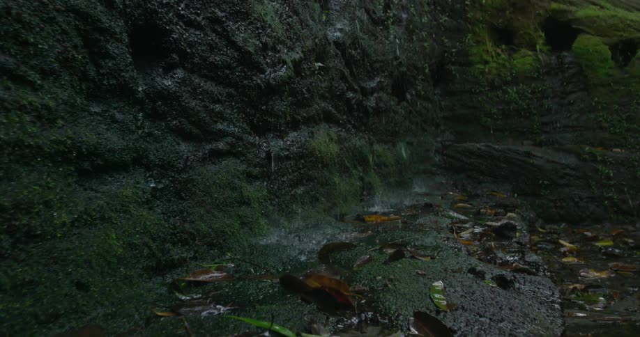 Water trickling down the side of a rocky cliff