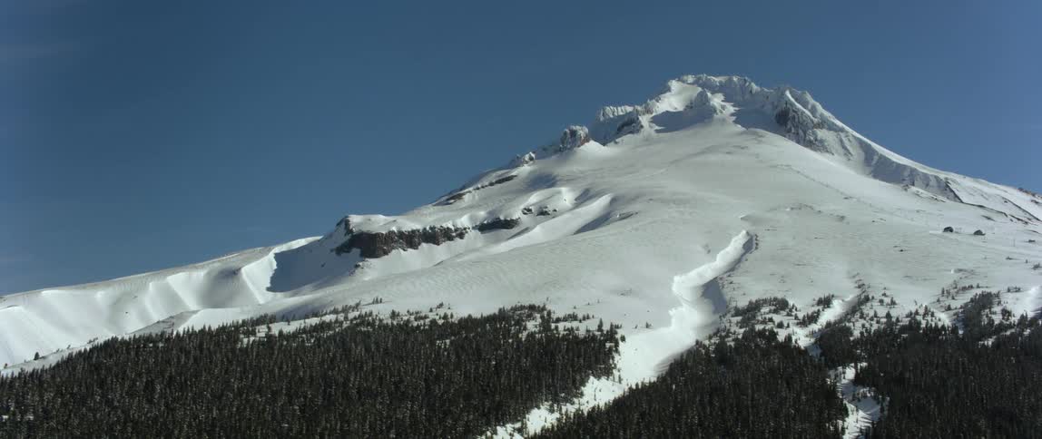 Forest covers bottom slopes of snowy mountain under a blue sky