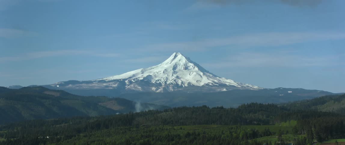 Green forest trees and grass beneath a snow capped mount hood