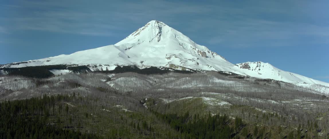 A tree covered slope leads up to the snow capped peak of mount hood