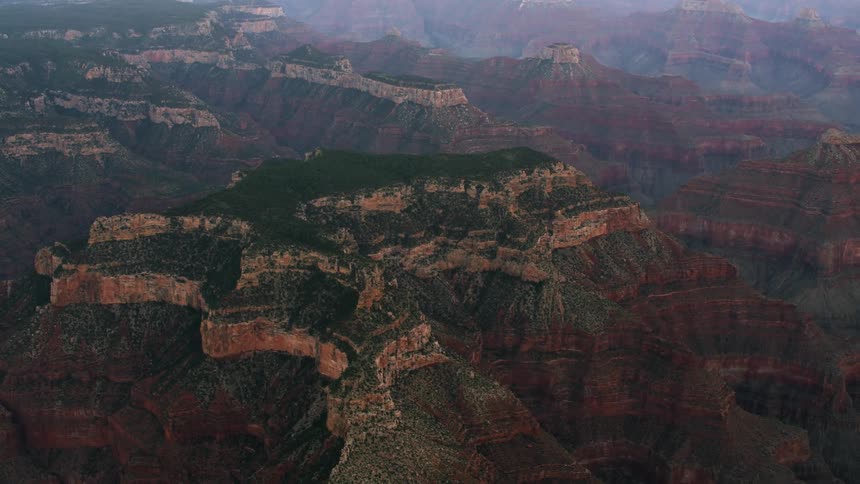 Trees grow on the plateaus of a canyon