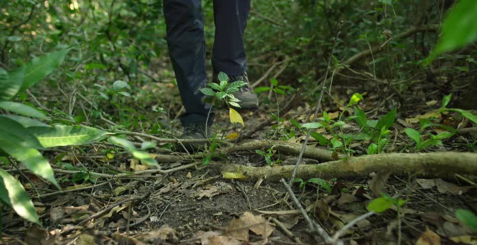 A person's feet as he walks through the woods