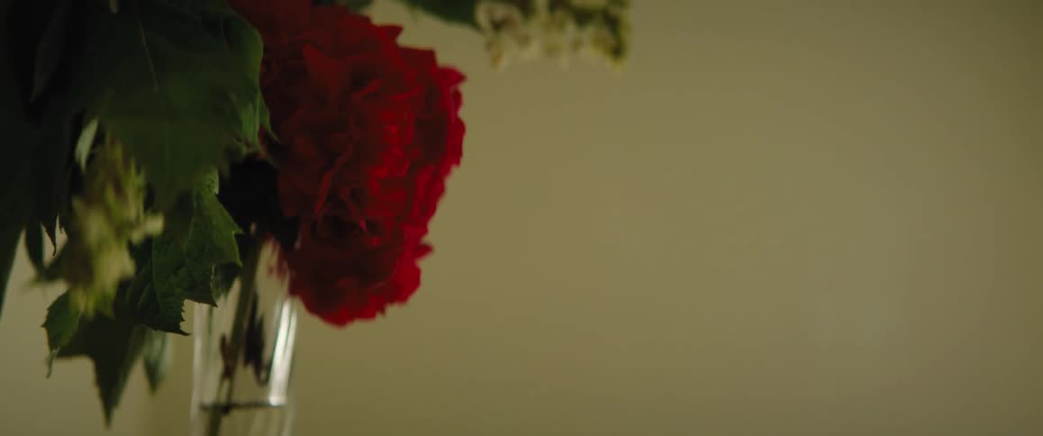 Close up view of roses in a vase is displayed