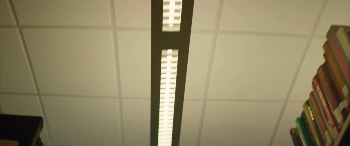 Large library ceiling with led lights