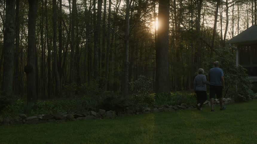 As an elderly couple walks past a grove of trees the sun can be seen peeking through