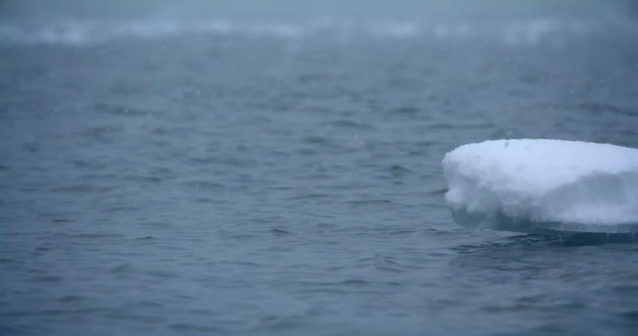 A chunk of ice floats in the ocean as snow falls