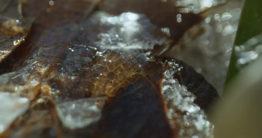 Ice shimmers and cracks as it melts