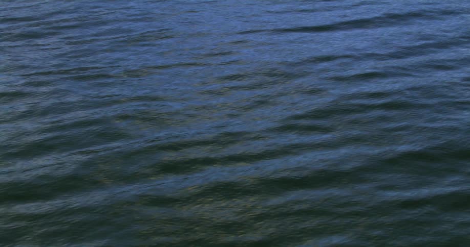 A view of the ocean
