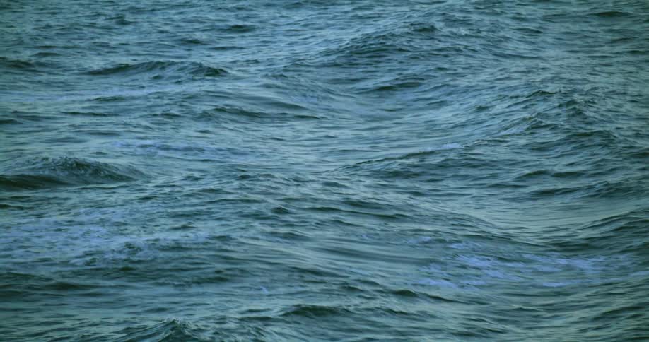 A view of waves in the ocean