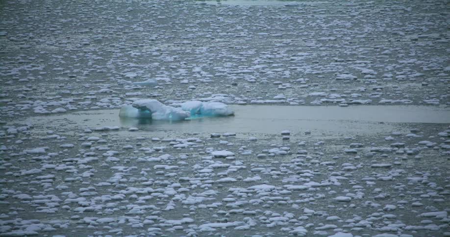A small iceberg and chunks of ice float in the waves