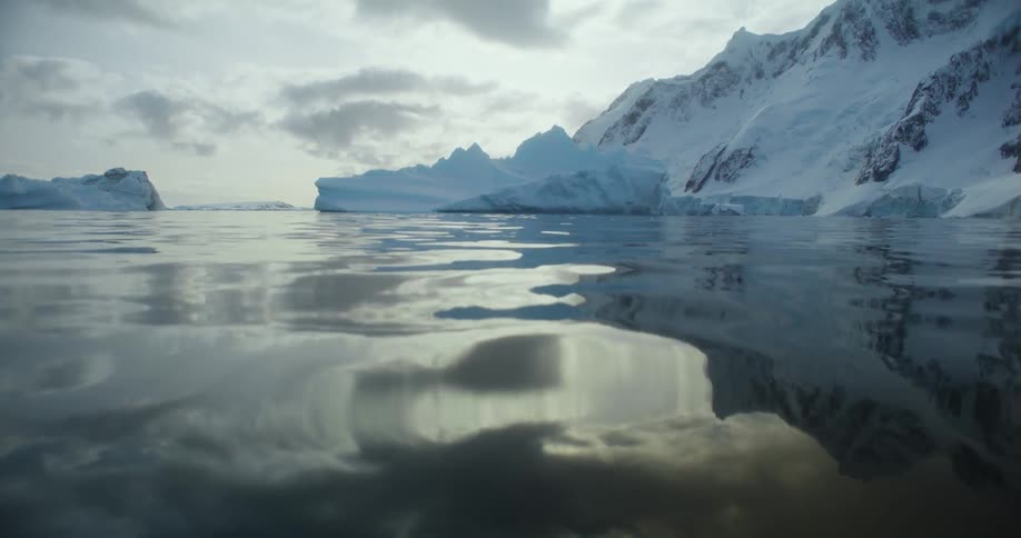 Icebergs float near the shore