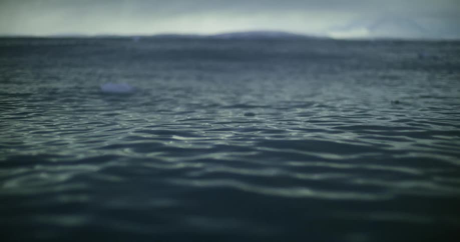 Chunks of ice float in the water with mountains in the distance