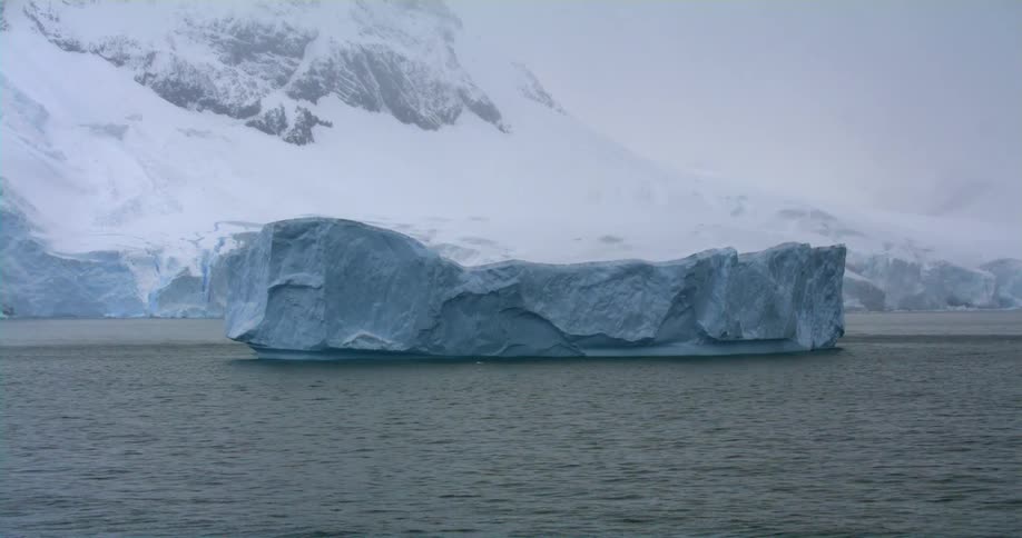 Flat chunk of ice floats in sea near snow covered mountain slope