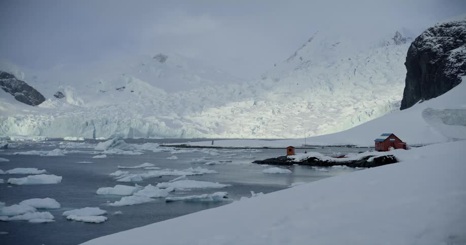 The arctic is covered in snow