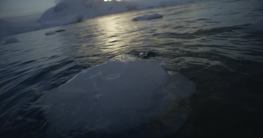 Pieces of ice float on the water as sunlight reflects on the waves and ripples
