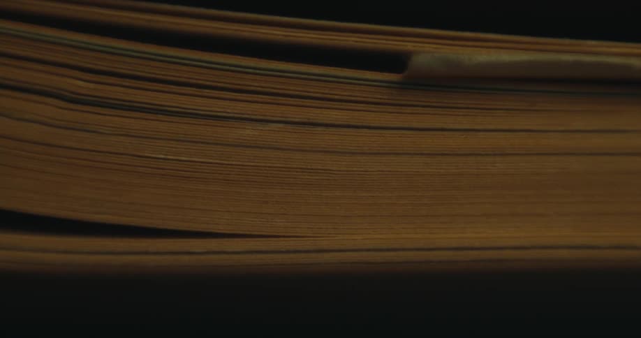 A light blue light shines across a brown banded object