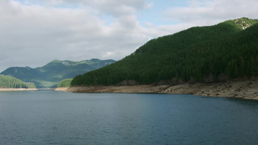 Trees grow on mountains along the coast