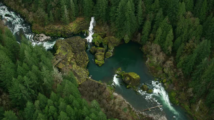 Traffic passes by a forest with a river running through it