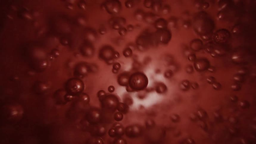 Bubbles form and move rapidly in a red liquid