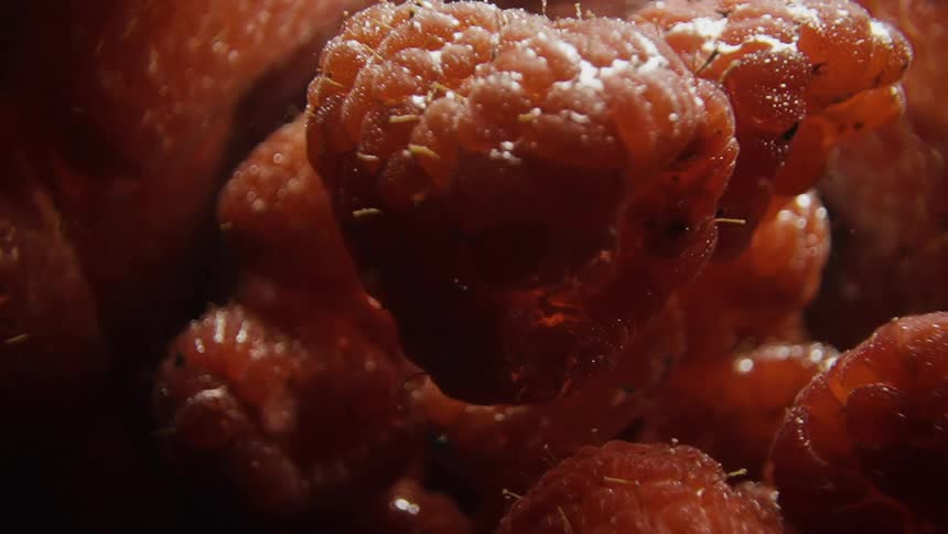 Close up of raspberries floating in water