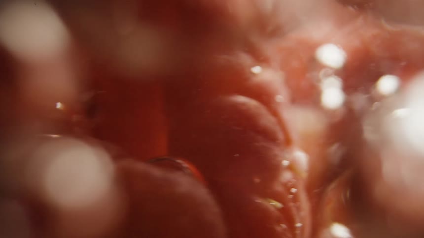 Bubbles float around the raspberries in the water