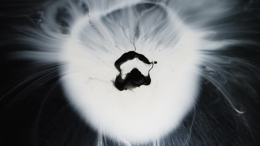 Black fluid moves in a white powder