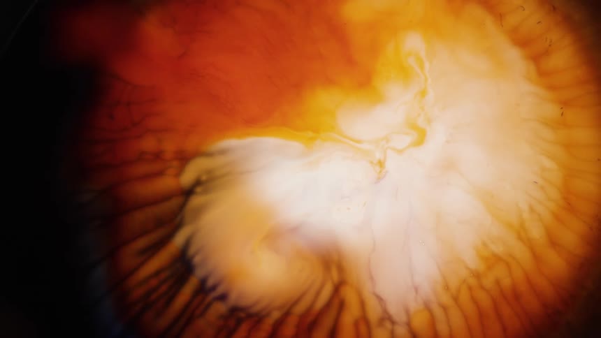 Light glows through an orange and yellow fractal