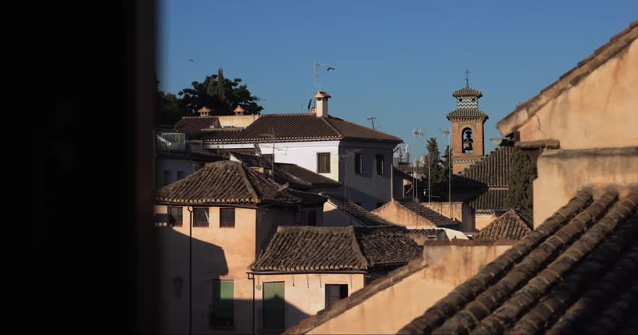 Birds flying over old tile rooftops with a bell tower against a blue sky