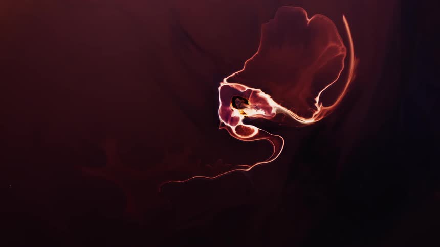 Appendages stretch out from an object with an orange glowing outline as it moves in a dark red environment
