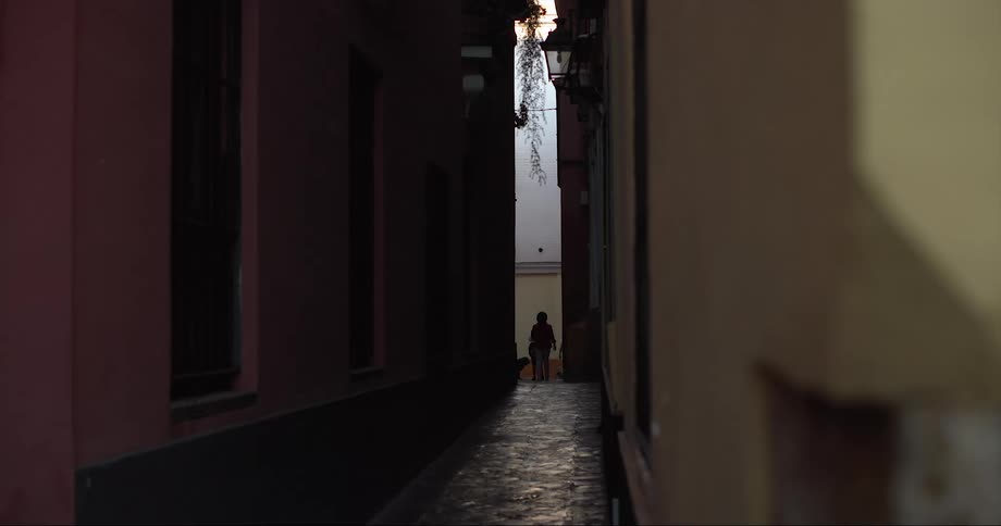 A family walks at the end of a neighborhood alley with their pets